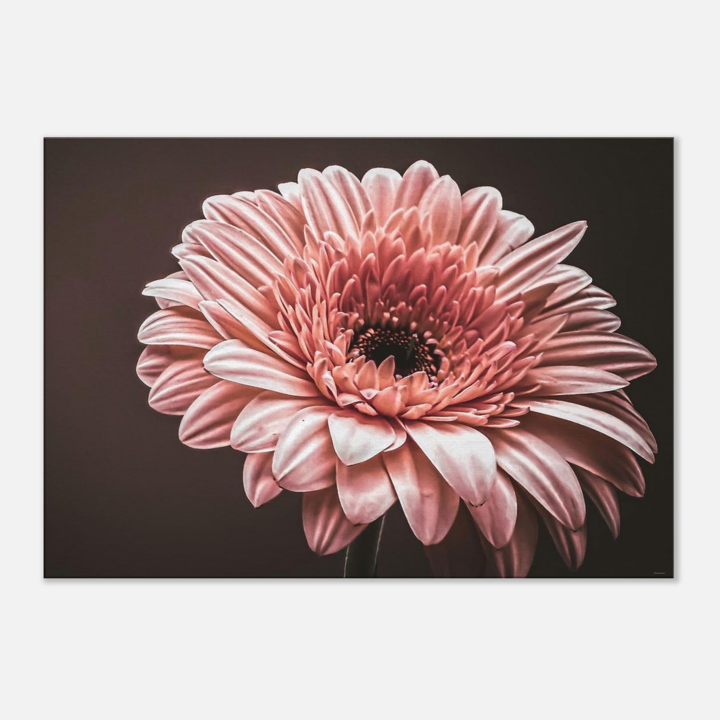 30c218db-1c9a-48e7-bc06-ab5bc52d5d4a