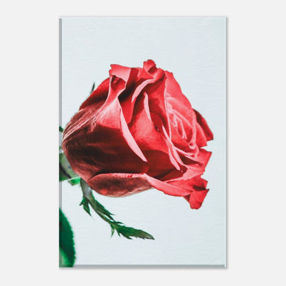 30d1455b-5946-4241-8017-13f5261488b7