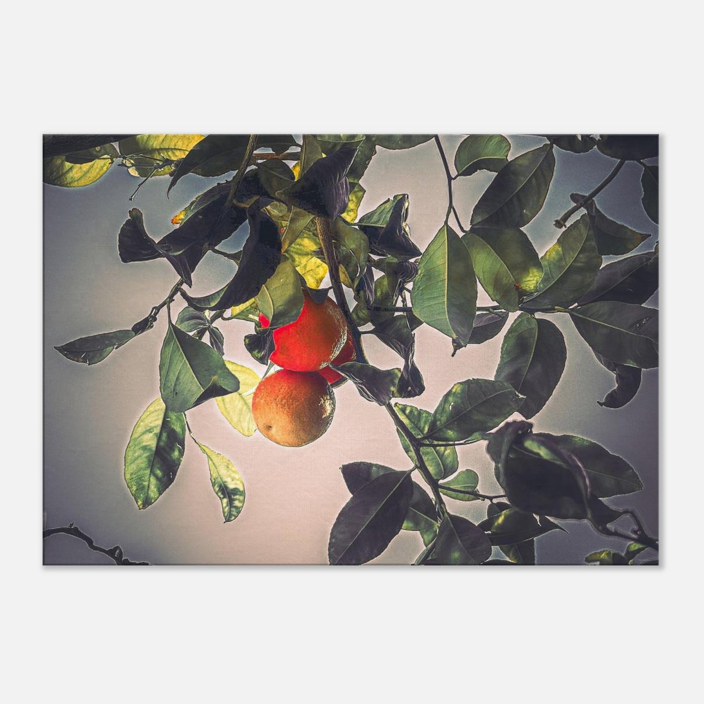 310ae18b-8954-4b1c-b6ae-8065d04bd8ed