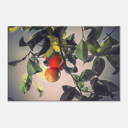 312f588f-6d7c-407d-afaa-8fe864453a50