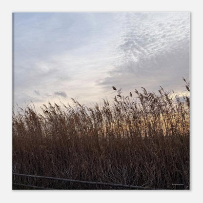 313882dd-1f33-4def-91eb-f6c49f7e5e02