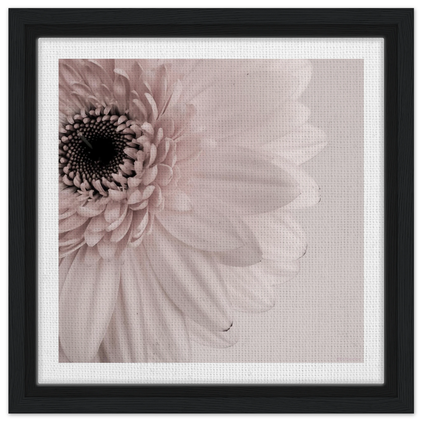 313ff0b2-19cb-4d72-8f06-789ed2654de2