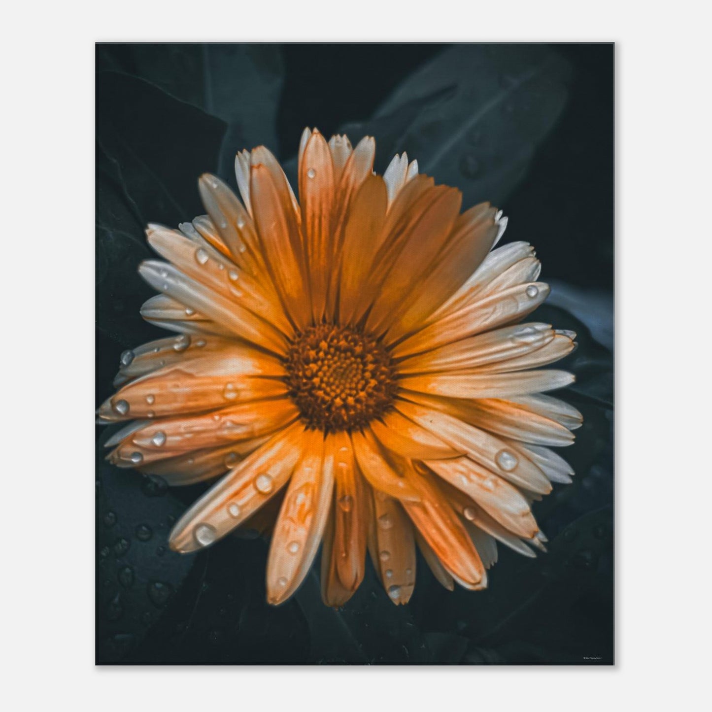 31575502-ad2b-4405-9063-671d55abbbd7