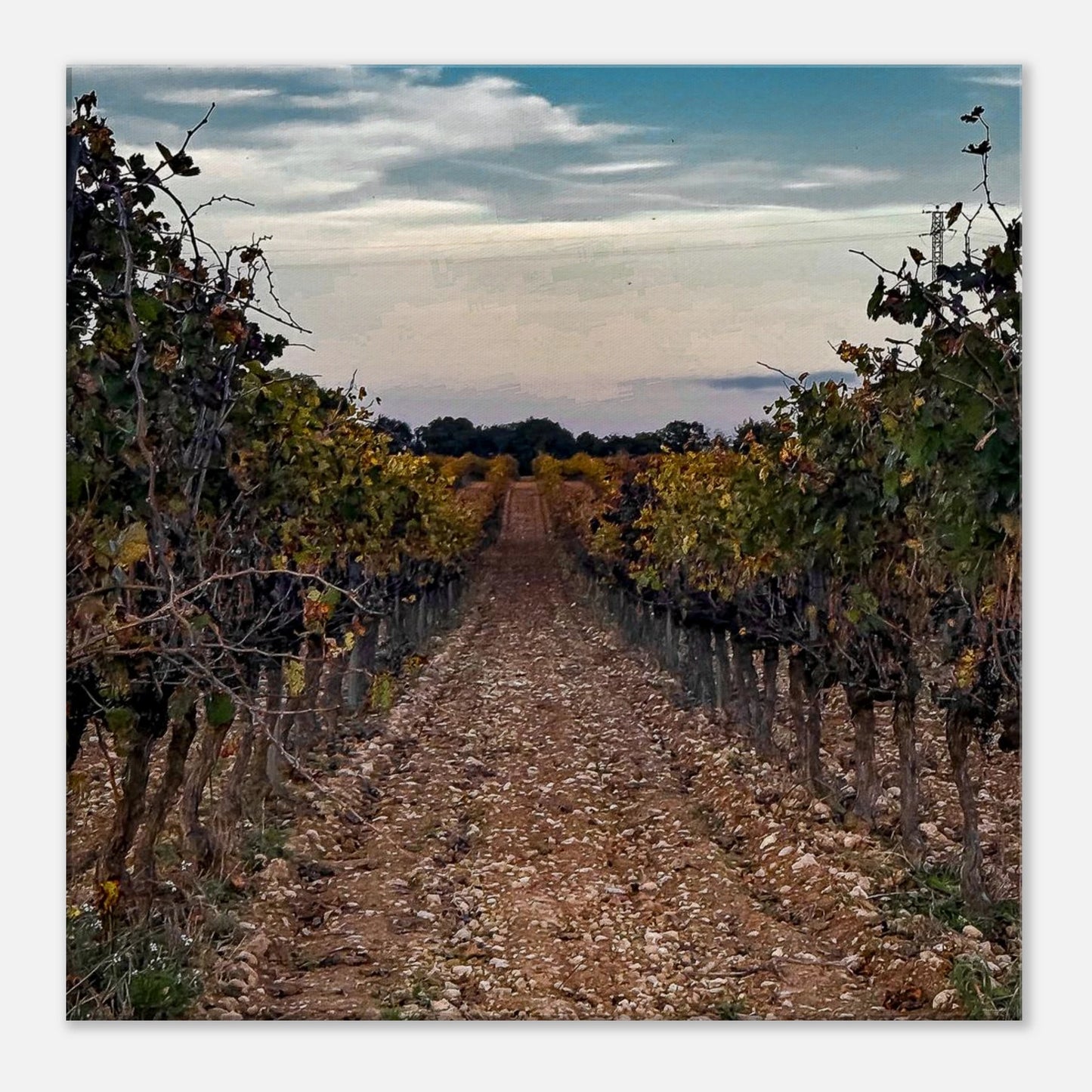 3158e5c3-f7b1-4fa7-b212-8cf744eed808