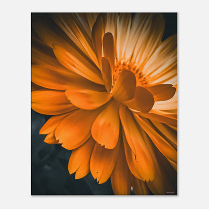 31ed58b1-05b1-4420-963a-aa07ec89b0b3