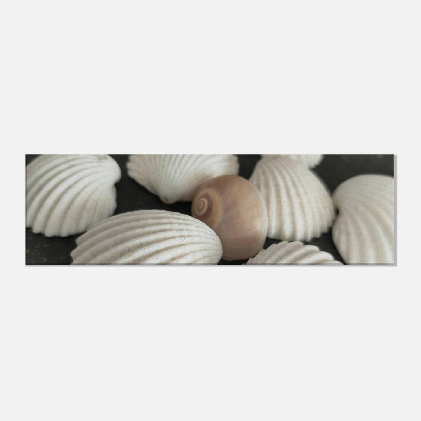 322f2b20-d023-4f10-b1a8-acd6dc974882