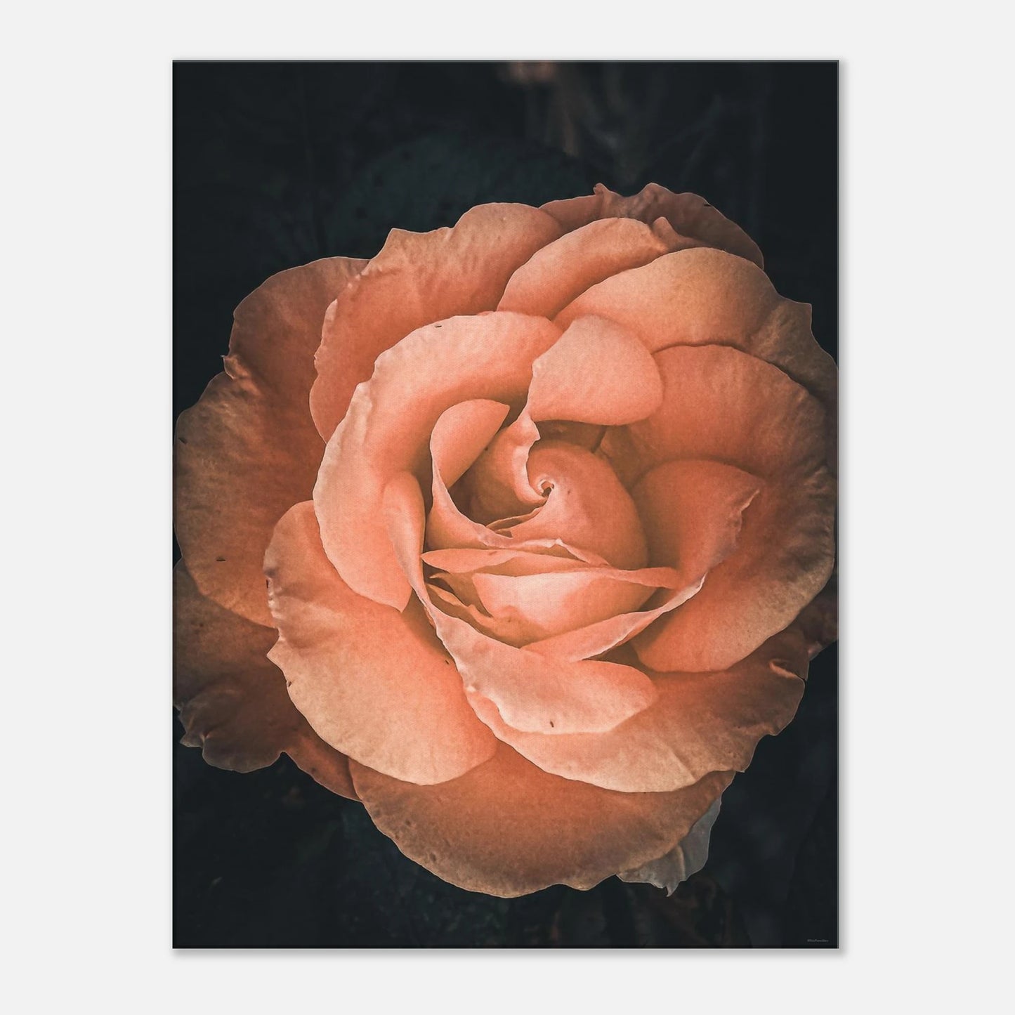 32333913-12e6-4be2-89b3-27b913b118ee