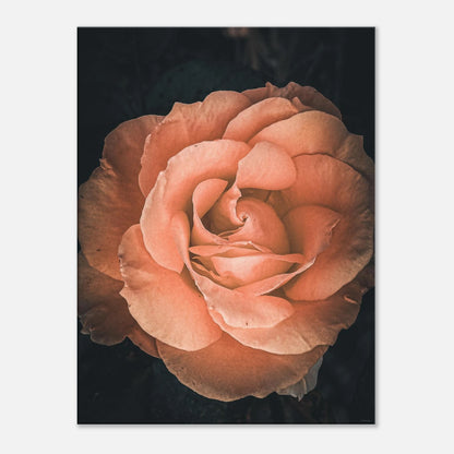 32333913-12e6-4be2-89b3-27b913b118ee