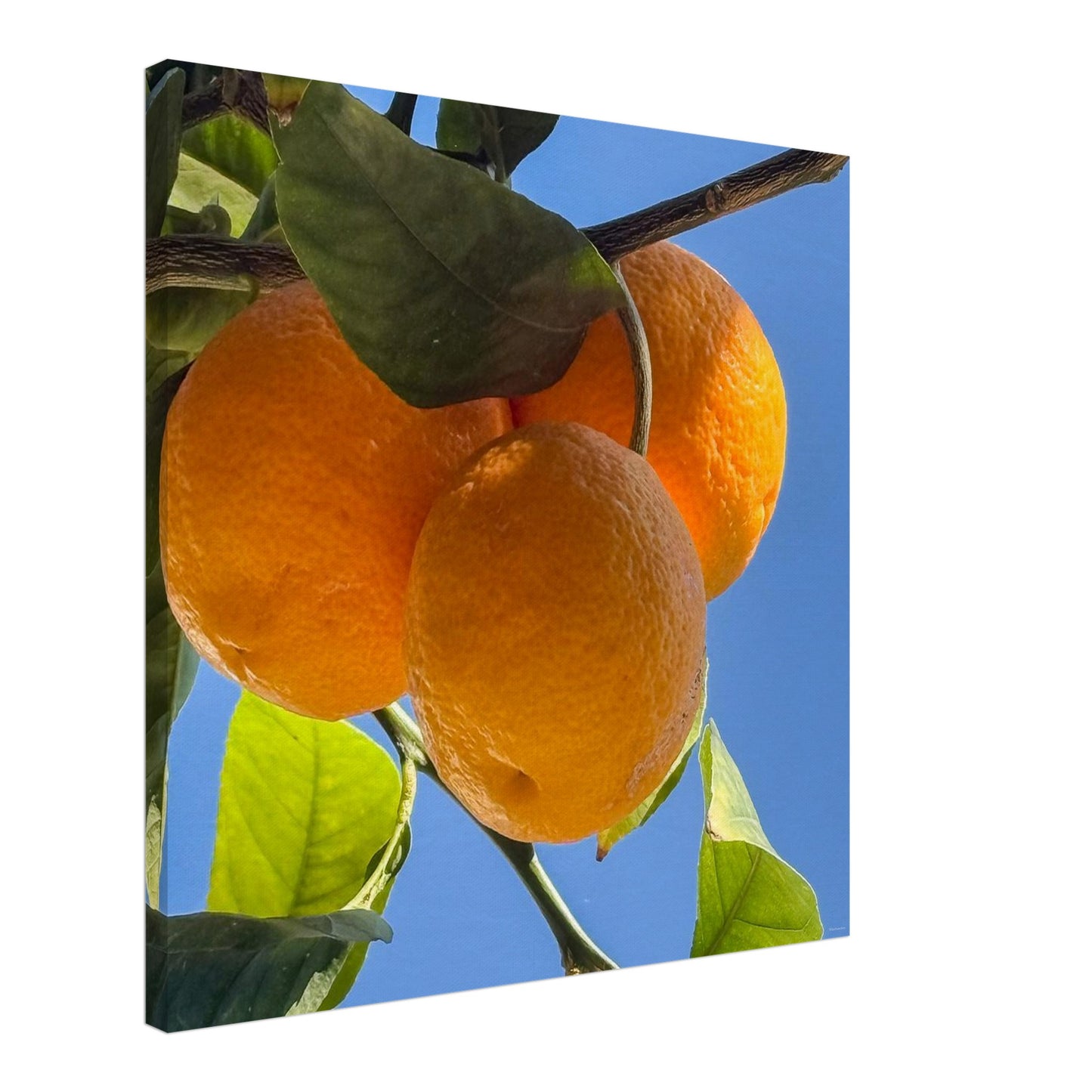 32461b06-a17d-464e-a06c-a5cb486ff263