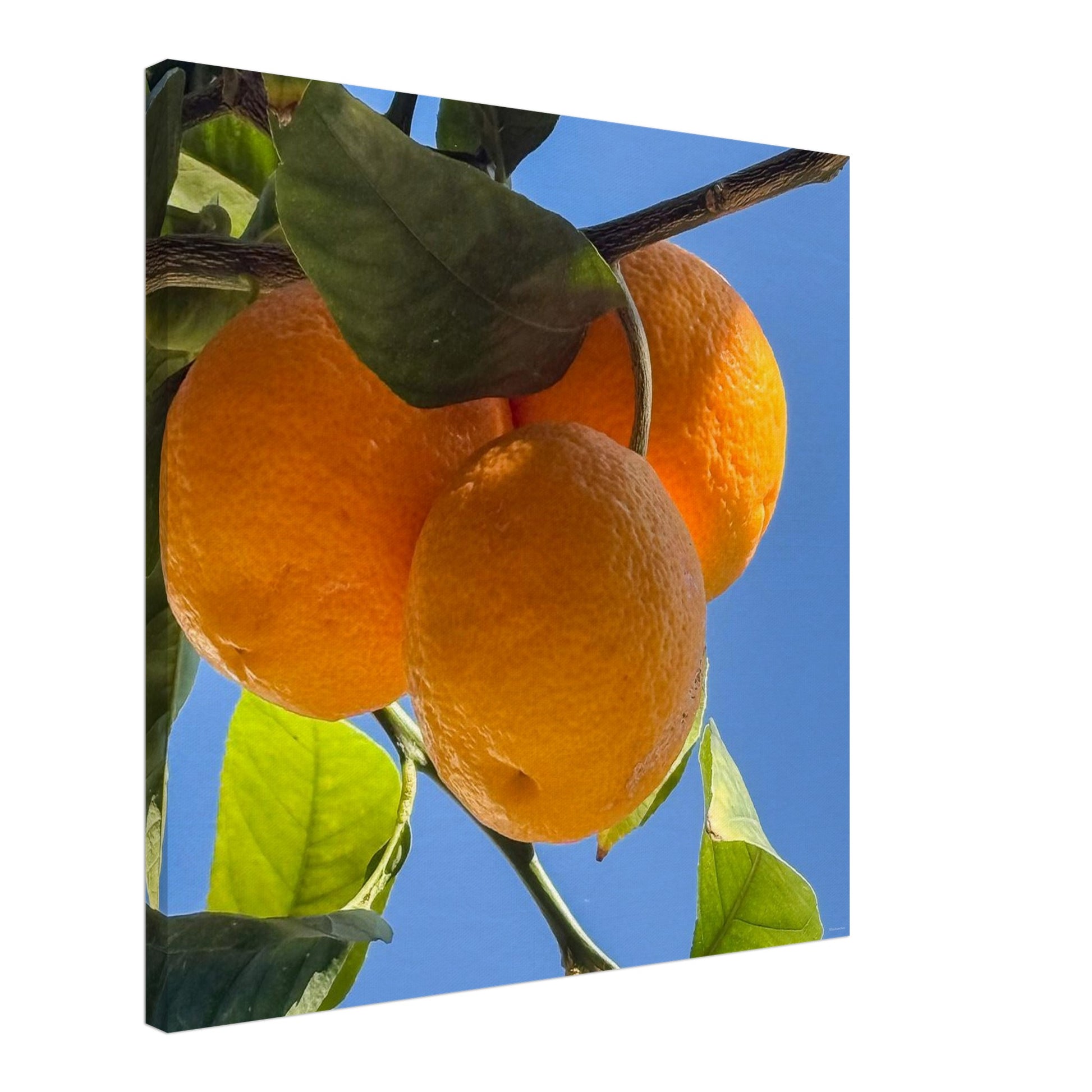 32461b06-a17d-464e-a06c-a5cb486ff263