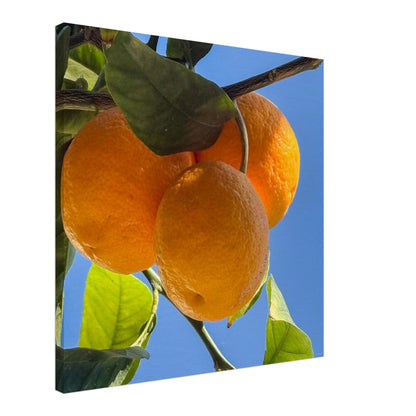 32461b06-a17d-464e-a06c-a5cb486ff263