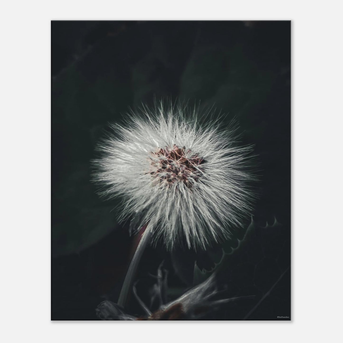 32534503-34ce-4c2c-8988-c7a99f05ee18