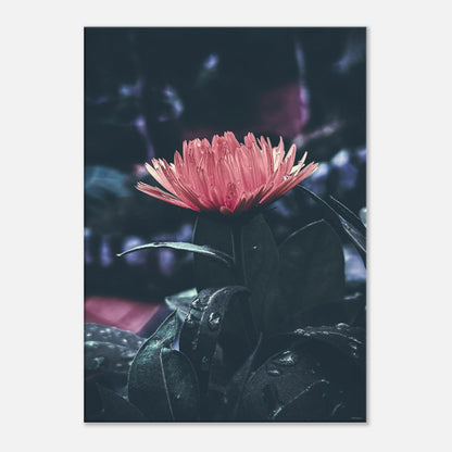 3301f740-7971-4262-ae23-c599d5913244