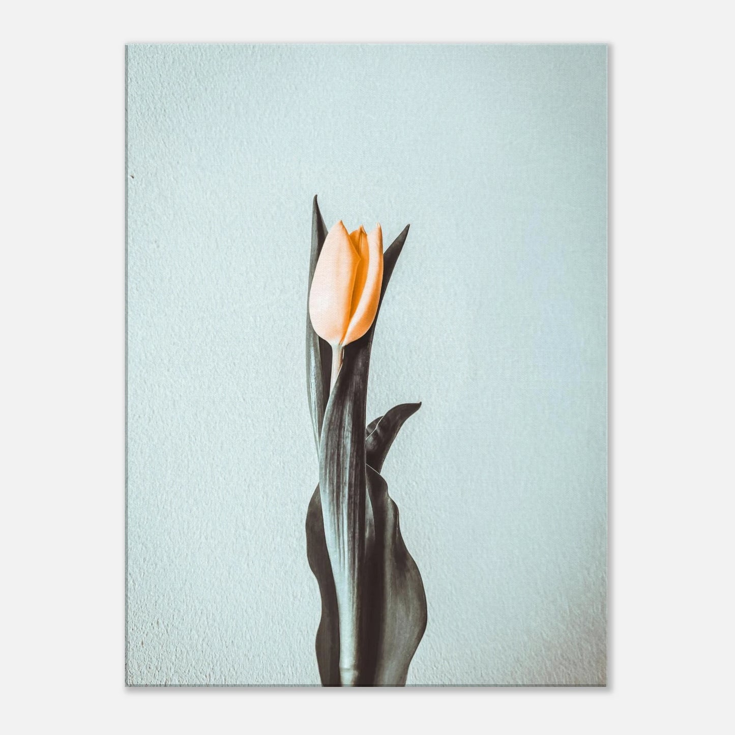 3309f5d8-db60-4b83-b38c-da6732375658