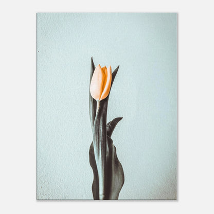 3309f5d8-db60-4b83-b38c-da6732375658