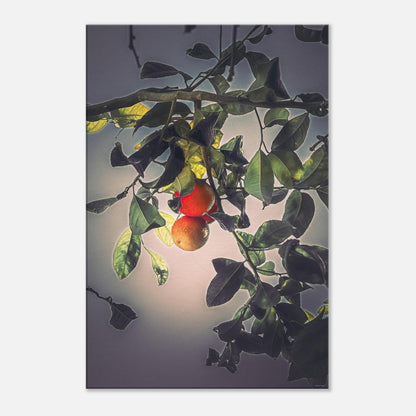 3313b934-f9a6-49cc-a091-426db6a8d254