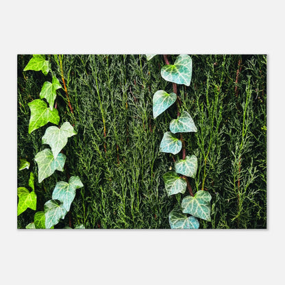 333d7070-27a0-4985-9883-cecce7b05afc