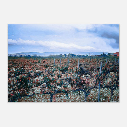 334995df-0657-4df8-afbb-2a8d2a8ac1cb