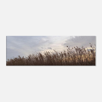 335e63d0-b4c1-43ef-b29a-9231625b30e6