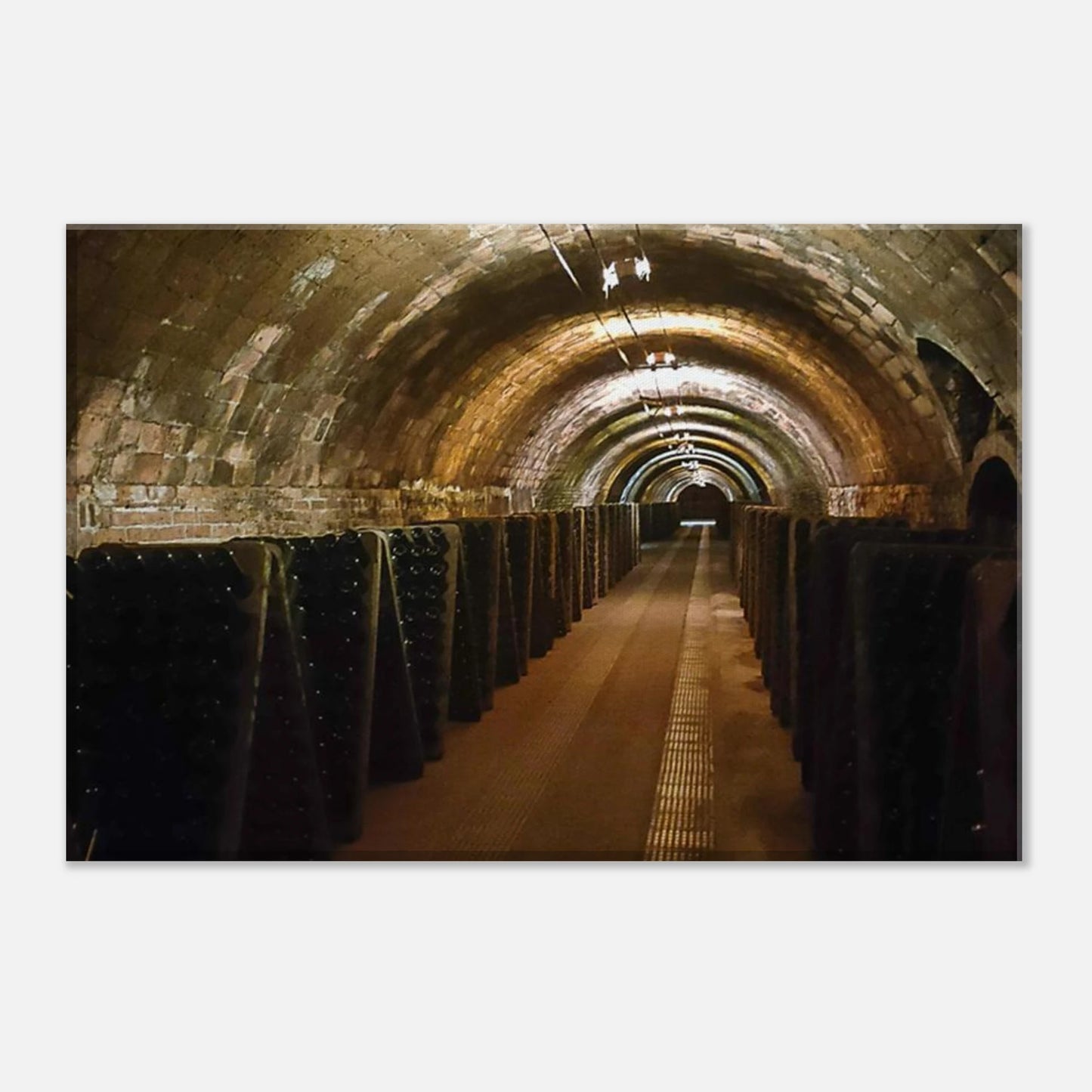 3374a259-afbc-4bf2-892a-398cea62ed7c