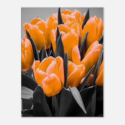 339d953e-8377-4fb3-8160-e1c4b7c4bbc6