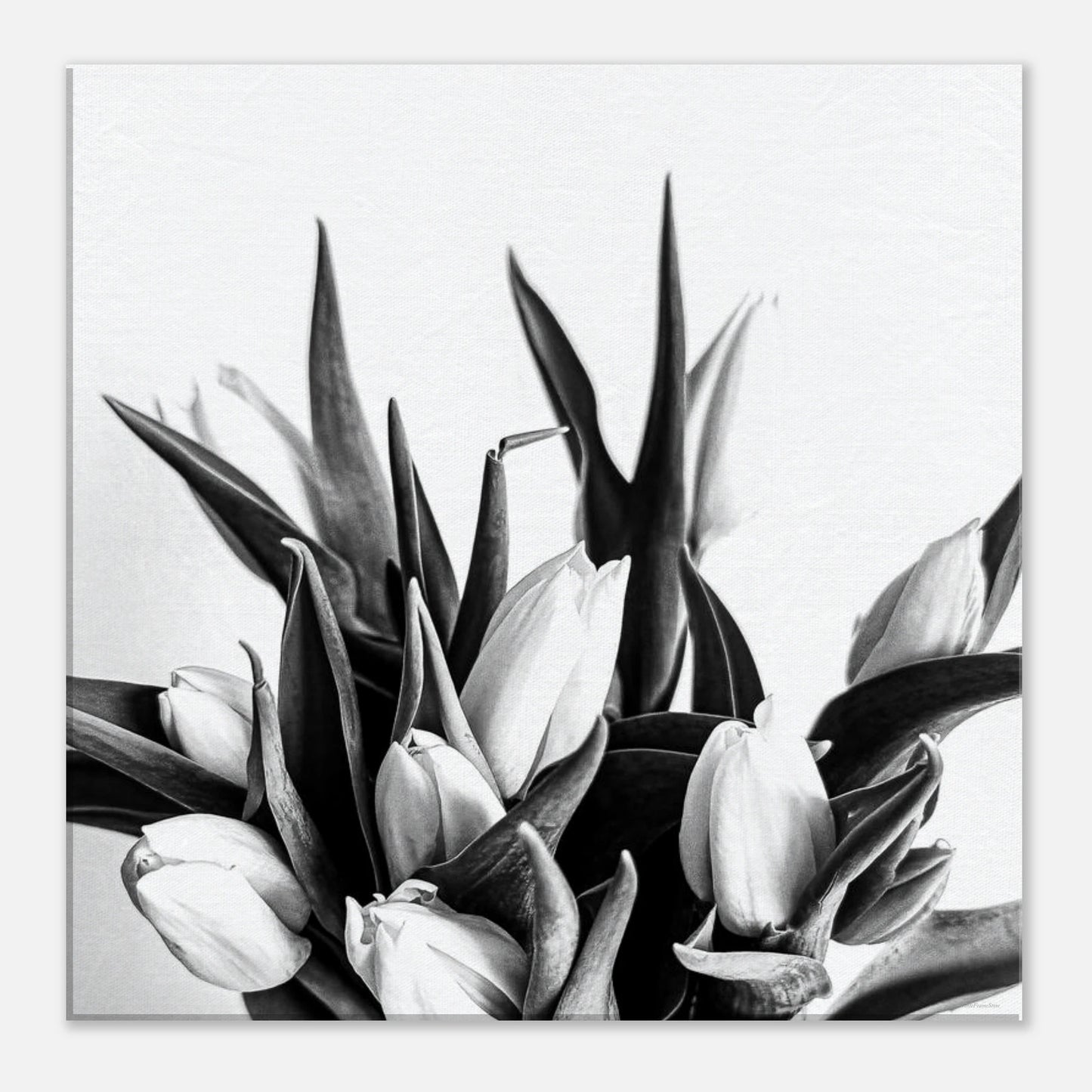 33a5f5a6-c9a1-4da5-897b-d0b21bdfef7f