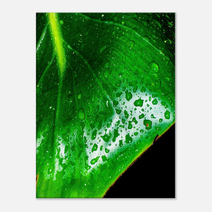 33da61e6-26ab-44f9-987c-657f9f2be934