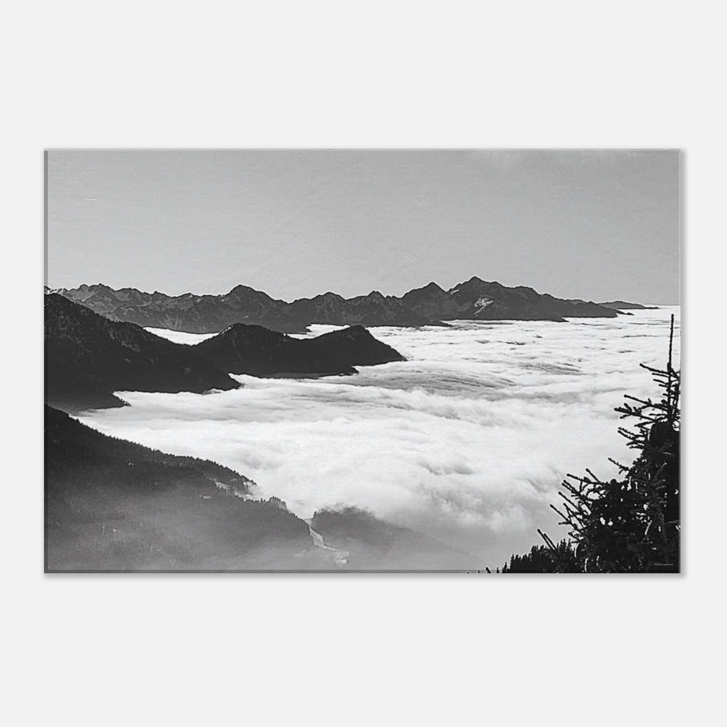 3431f2e9-a032-408c-8ba3-3cdcc4a2c50e