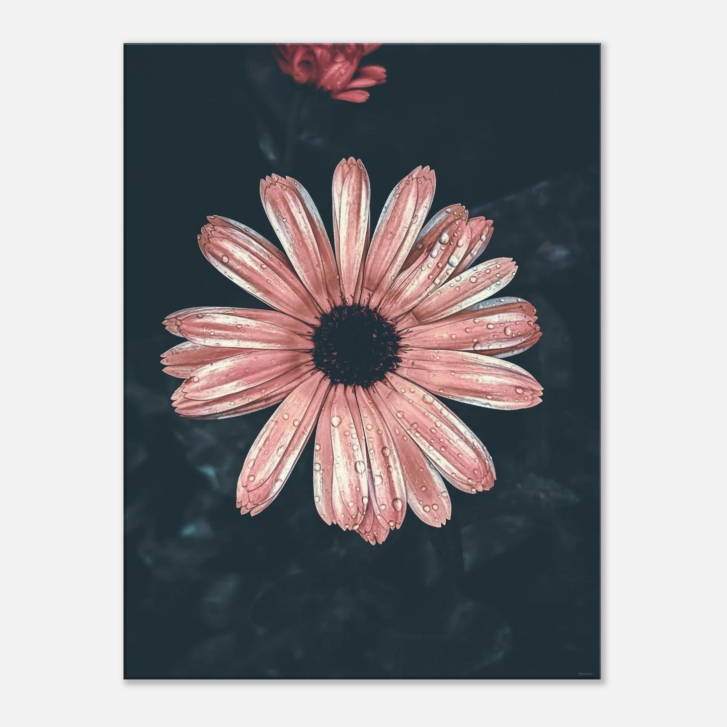 343a2110-4121-45f2-afa1-0b8ef9bde91b