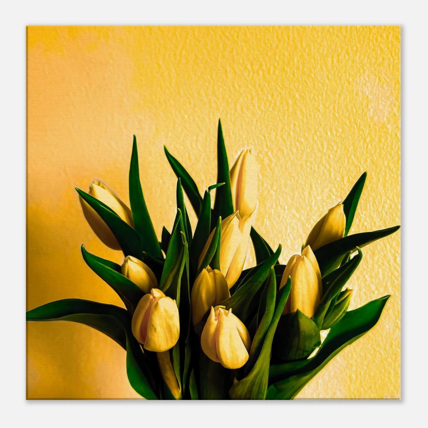 346a304f-443a-470d-9dc3-a5dfc110771d