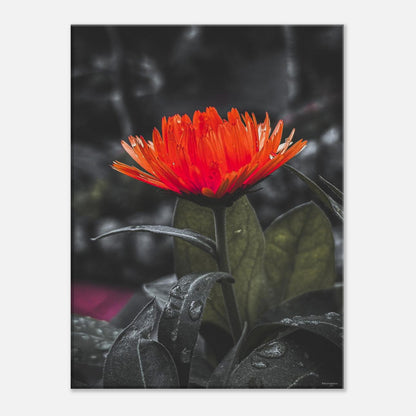 346ffa9c-eb34-4fe5-bc31-a6f3ef3c088b