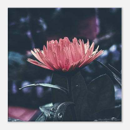 347193e7-3faa-4b94-a032-3630360937e2