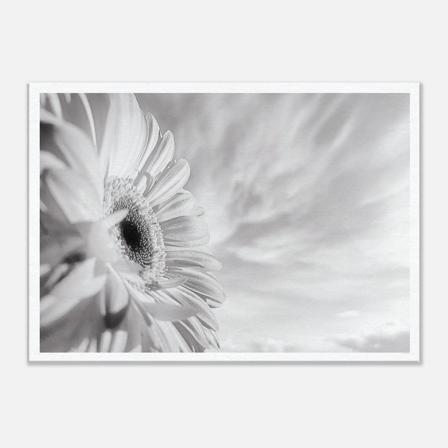 34729b03-9f6e-42ee-9d8f-aedb51983453