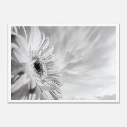 34729b03-9f6e-42ee-9d8f-aedb51983453