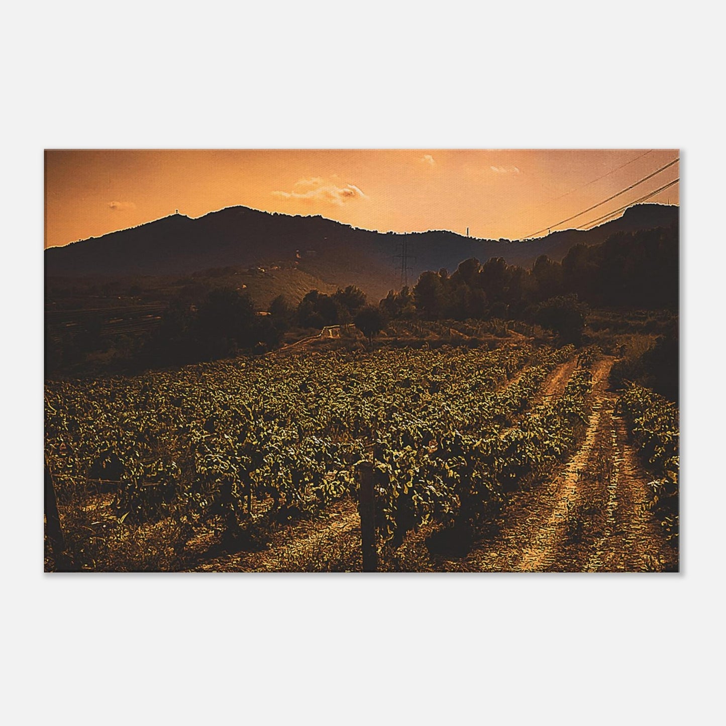 3499d2f0-71c3-426a-9f67-21c7f8447ead