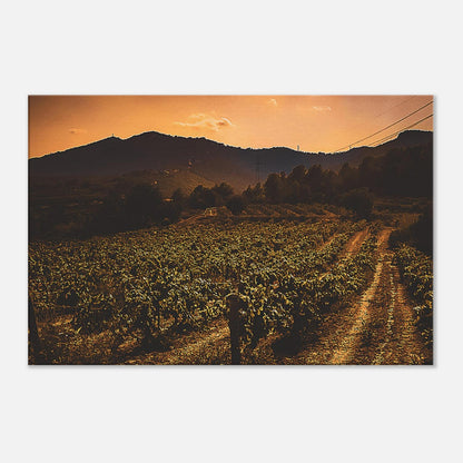 3499d2f0-71c3-426a-9f67-21c7f8447ead