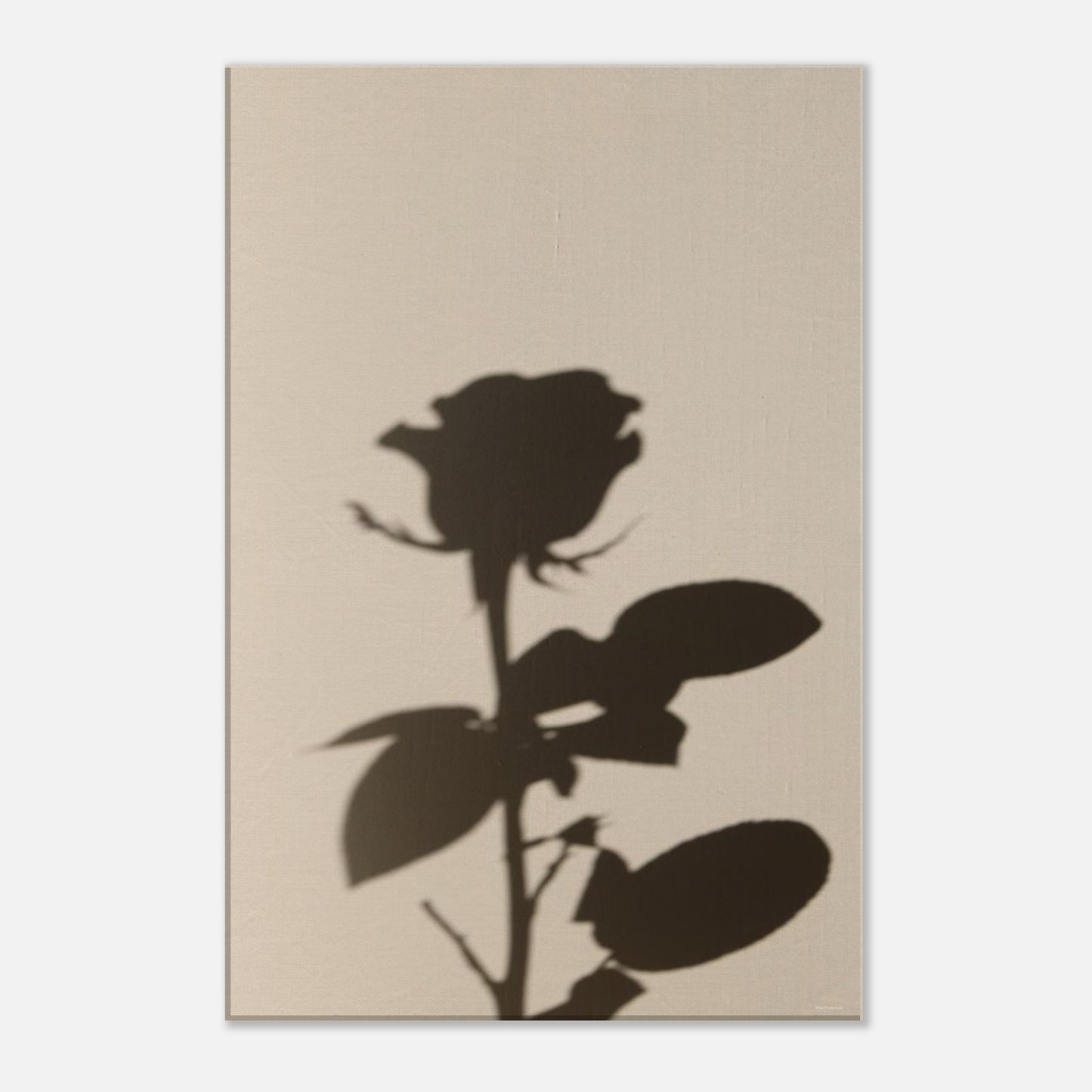 34ca8303-5cc3-4bd5-b5e4-87d23286ecc6