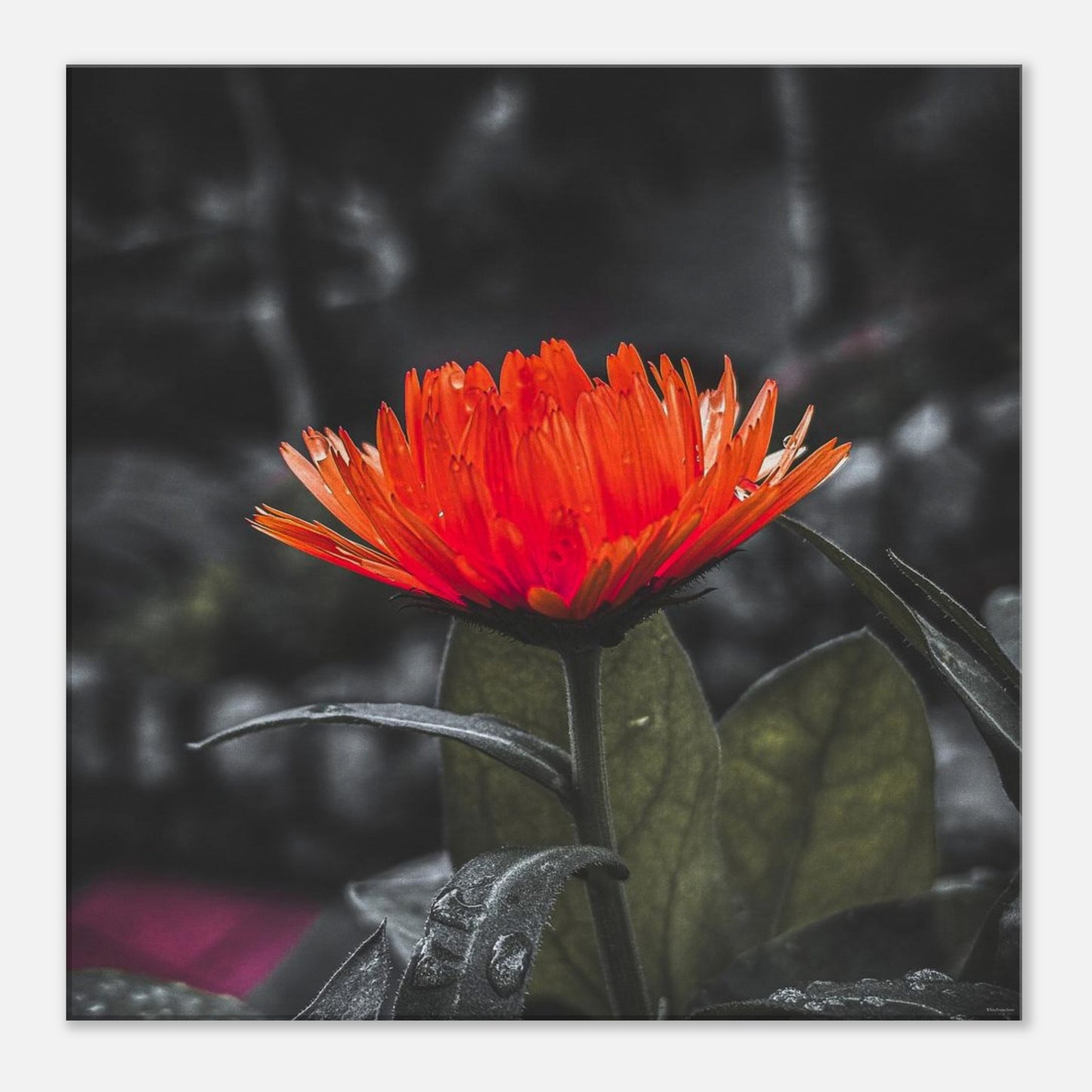 34e6a7c4-d9b5-4a80-b690-0d1f7cb29077