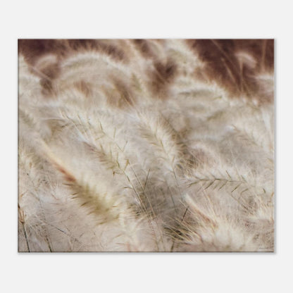 35029688-60d8-4185-b04b-a4df63aad34a