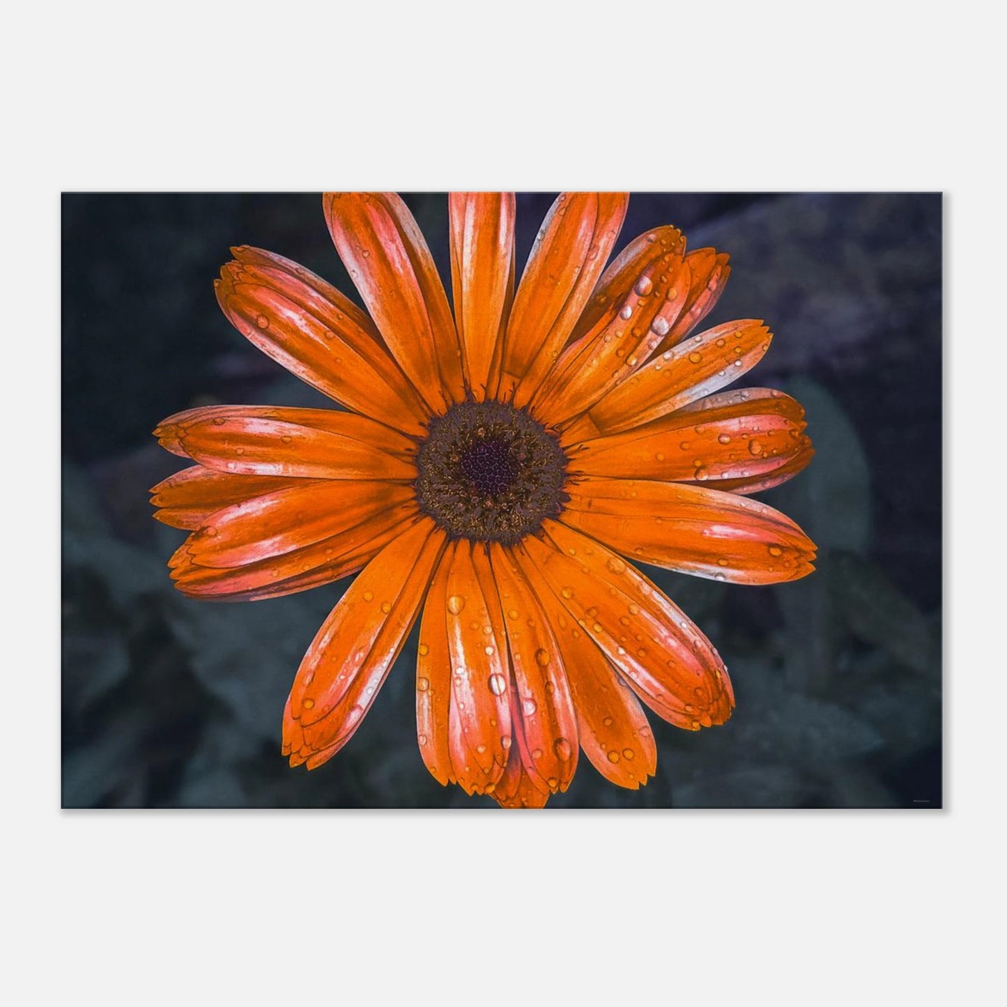 35161729-bbc2-451a-809d-6623b2b771e7