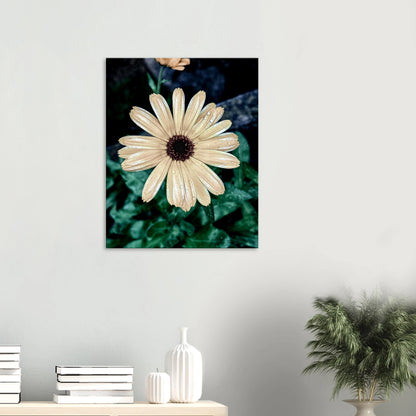 35163777-a154-4a8d-a4d2-ac5c63d0602c