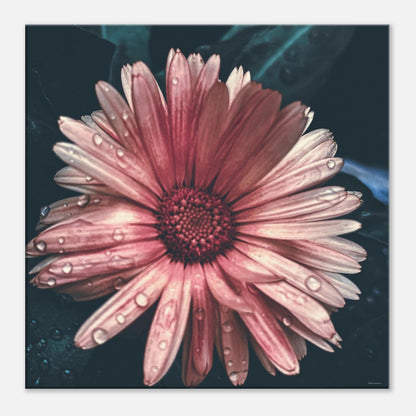 351aa130-ab8e-45d1-bb1a-65cdb4be5a1e