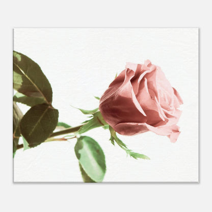 355da3ed-50b0-4f73-9dd1-4a7307d48e2f