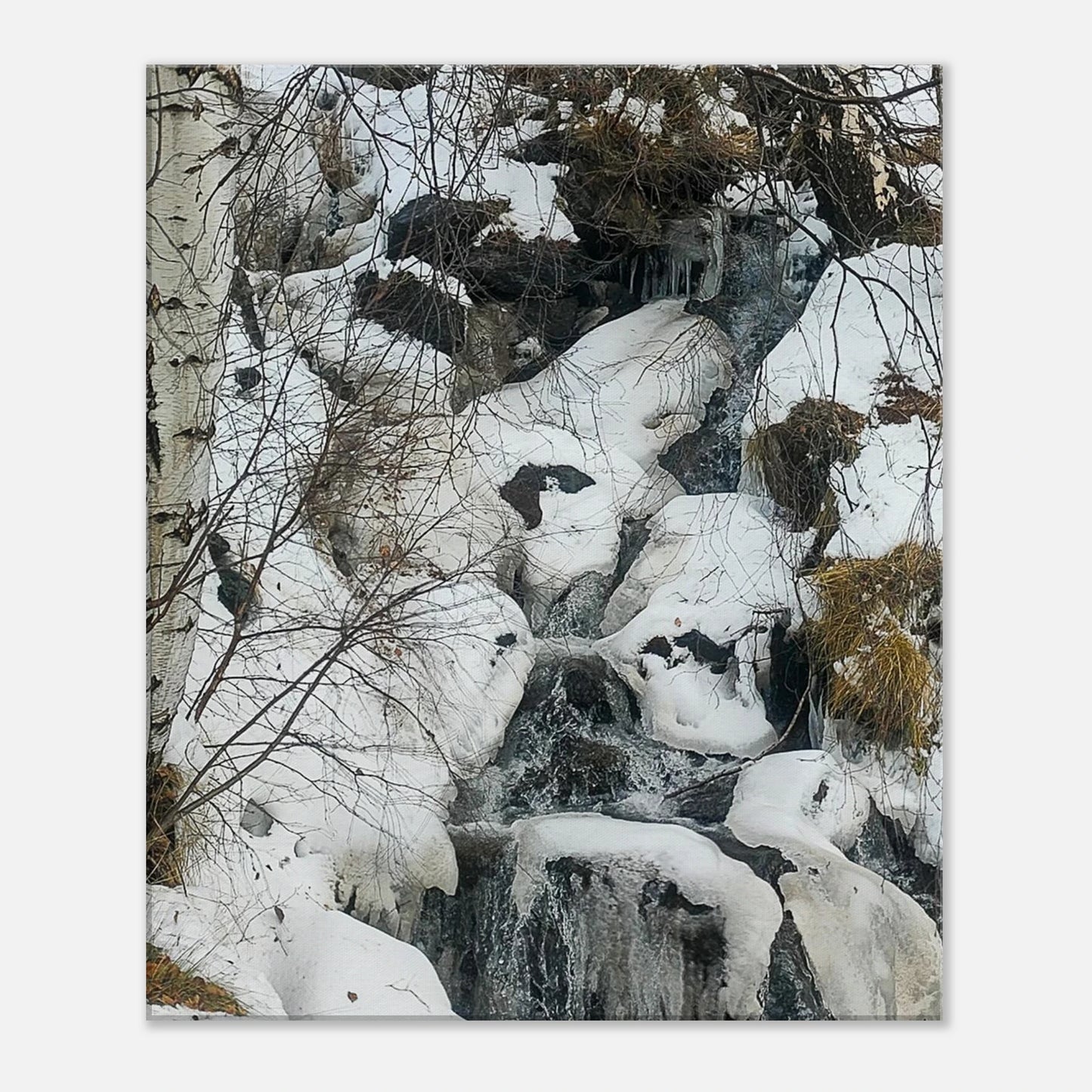 357c2d38-abe3-4689-80b3-dac0add2ef8d