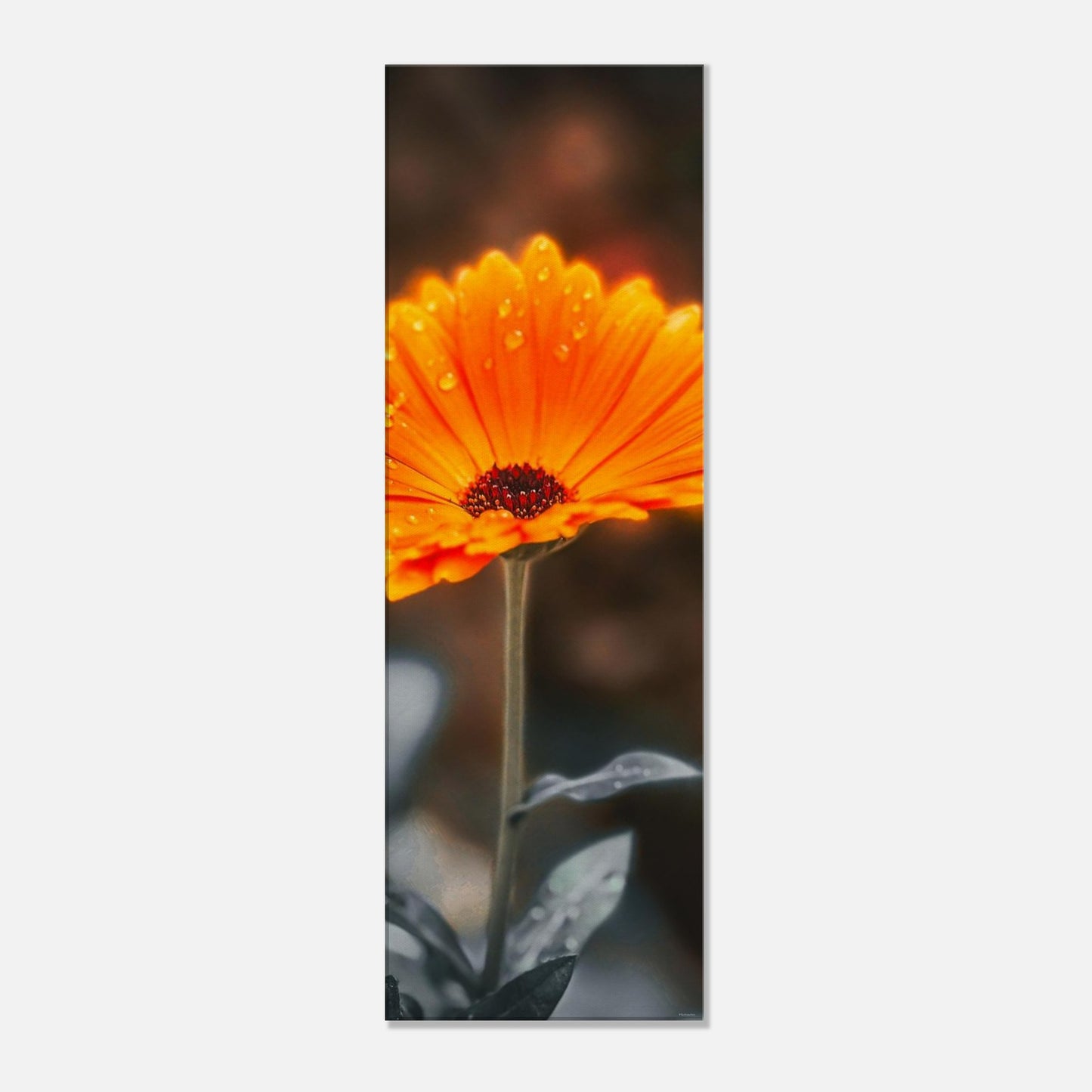 3595f029-414a-447b-a0c0-31cb0f9d05c7