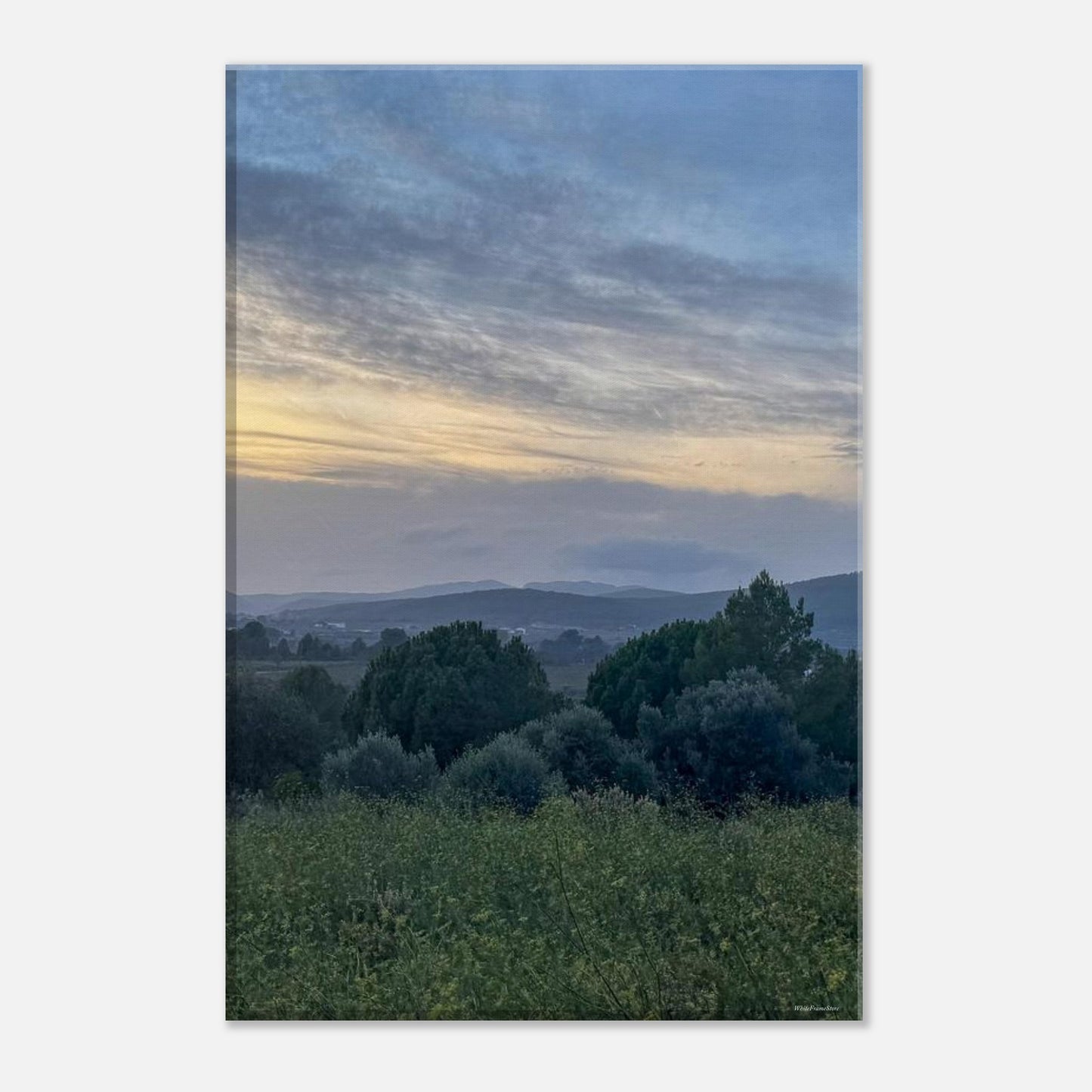 35b9b5f7-5209-4342-96fc-3aad3dd61186