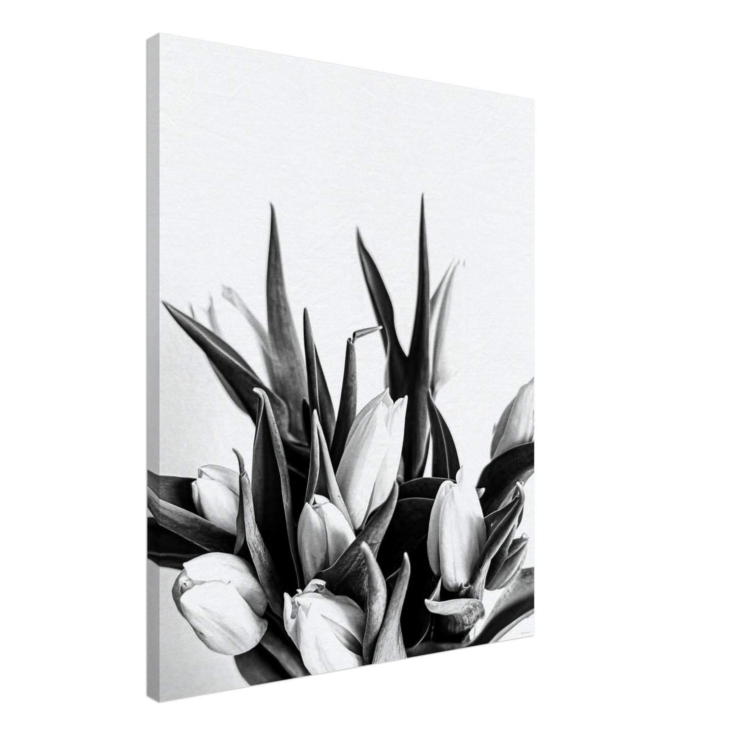 35c6a285-4c13-41b8-a3e3-01a78a4062ea