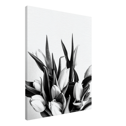 35c6a285-4c13-41b8-a3e3-01a78a4062ea