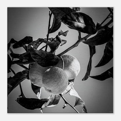 35ebdfdf-0e51-4fae-9ae5-f3e759c1bc0f