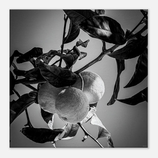 35ebdfdf-0e51-4fae-9ae5-f3e759c1bc0f